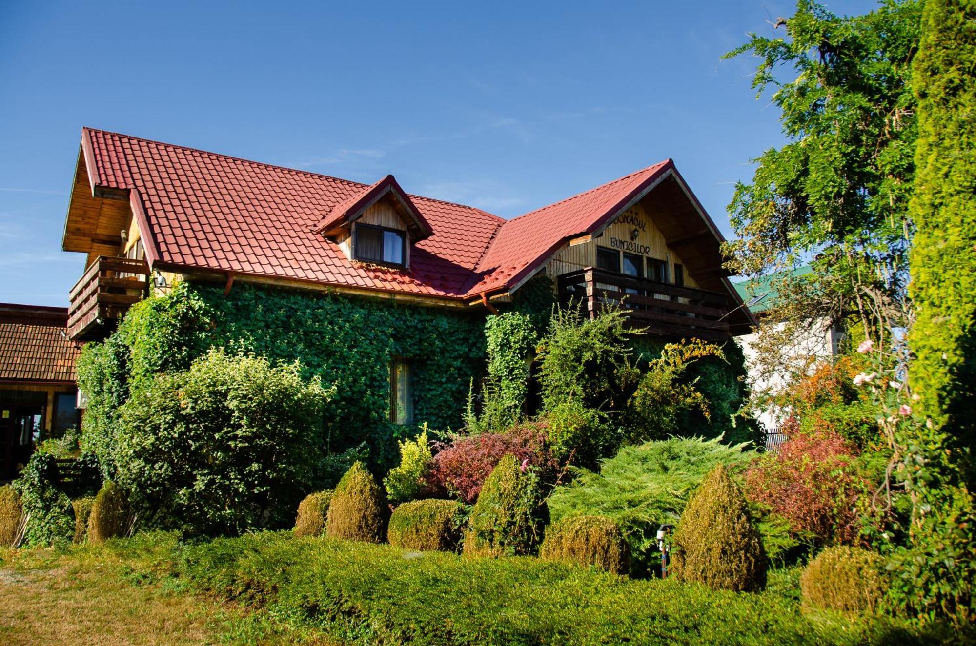 Conacul Bunicilor Hotel Novaci Exterior photo